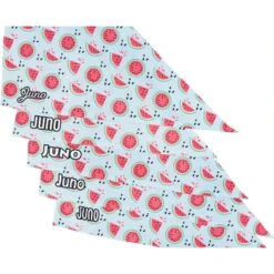 Frisco Watermelons Personalized Dog & Cat Bandana -Frisco Pet Hub 267458 PT4. AC SS1800 V1632428809