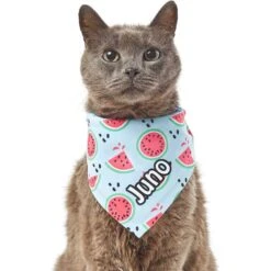 Frisco Watermelons Personalized Dog & Cat Bandana -Frisco Pet Hub 267458 PT7. AC SS1800 V1632432684