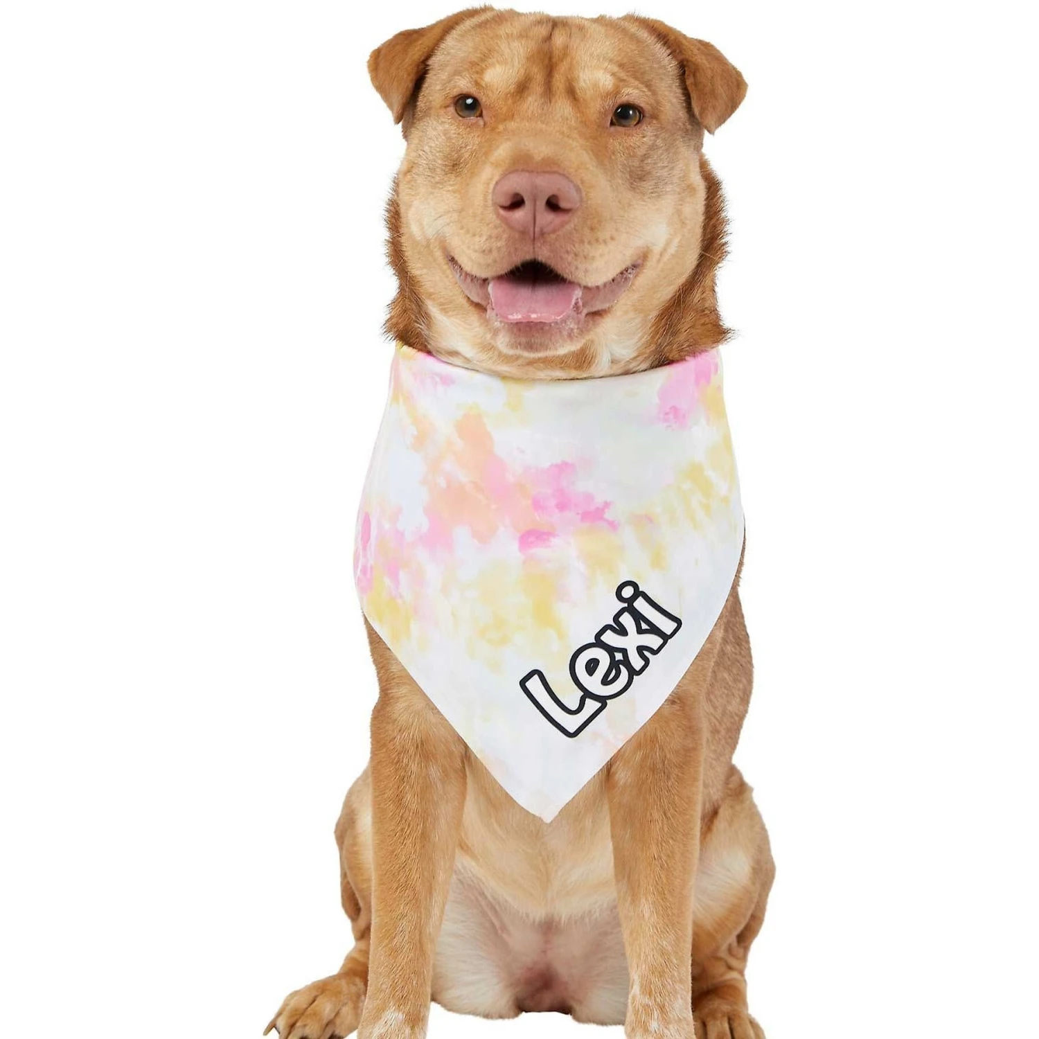 Frisco Tiedye Personalized Dog & Cat Bandana Frisco Tiedye Personalized Dog & Cat Bandana -Frisco Pet Hub 267482 PT6. AC SS1800 V1632428490
