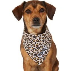 Frisco Leopard Print Personalized Dog & Cat Bandana -Frisco Pet Hub 267543 PT7. AC SS1800 V1623164552