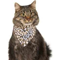 Frisco Leopard Print Personalized Dog & Cat Bandana -Frisco Pet Hub 267543 PT8. AC SS1800 V1623164342