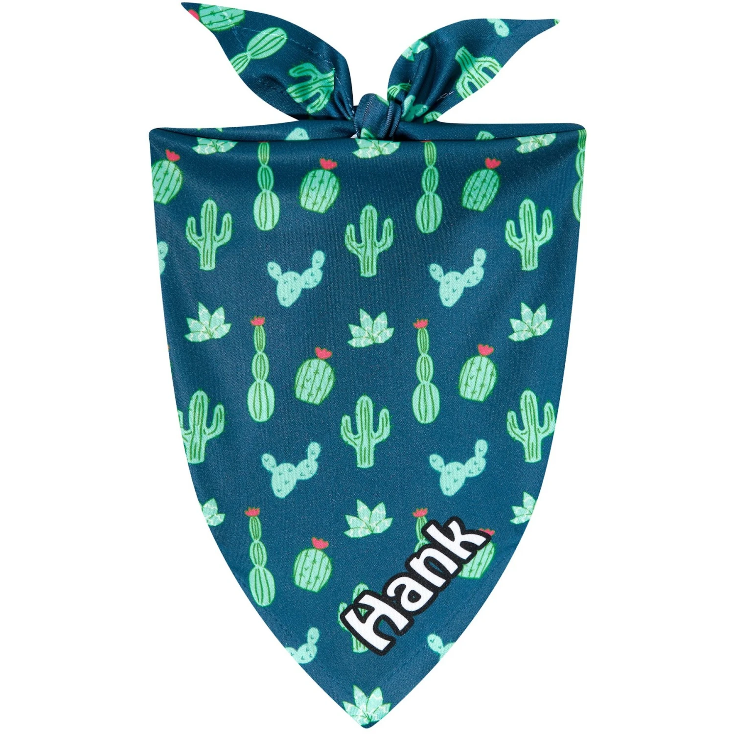 Frisco Cactus Personalized Dog & Cat Bandana Frisco Cactus Personalized Dog & Cat Bandana -Frisco Pet Hub 267551 MAIN. AC SS1800 V1623093450