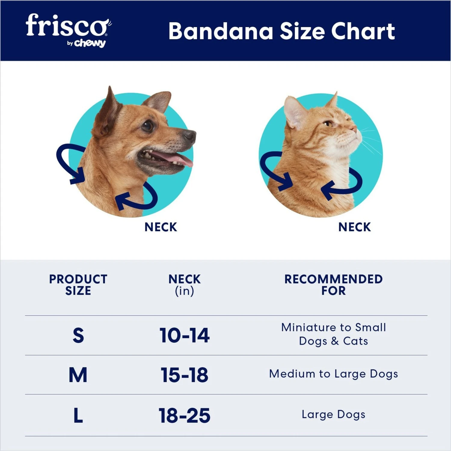 Frisco Cactus Personalized Dog & Cat Bandana Frisco Cactus Personalized Dog & Cat Bandana -Frisco Pet Hub 267551 PT1. AC SS1800 V1696271866