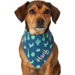 Frisco Cactus Personalized Dog & Cat Bandana 6 Frisco Cactus Personalized Dog & Cat Bandana -Frisco Pet Hub 267551 PT7. AC SS1800 V1623164614
