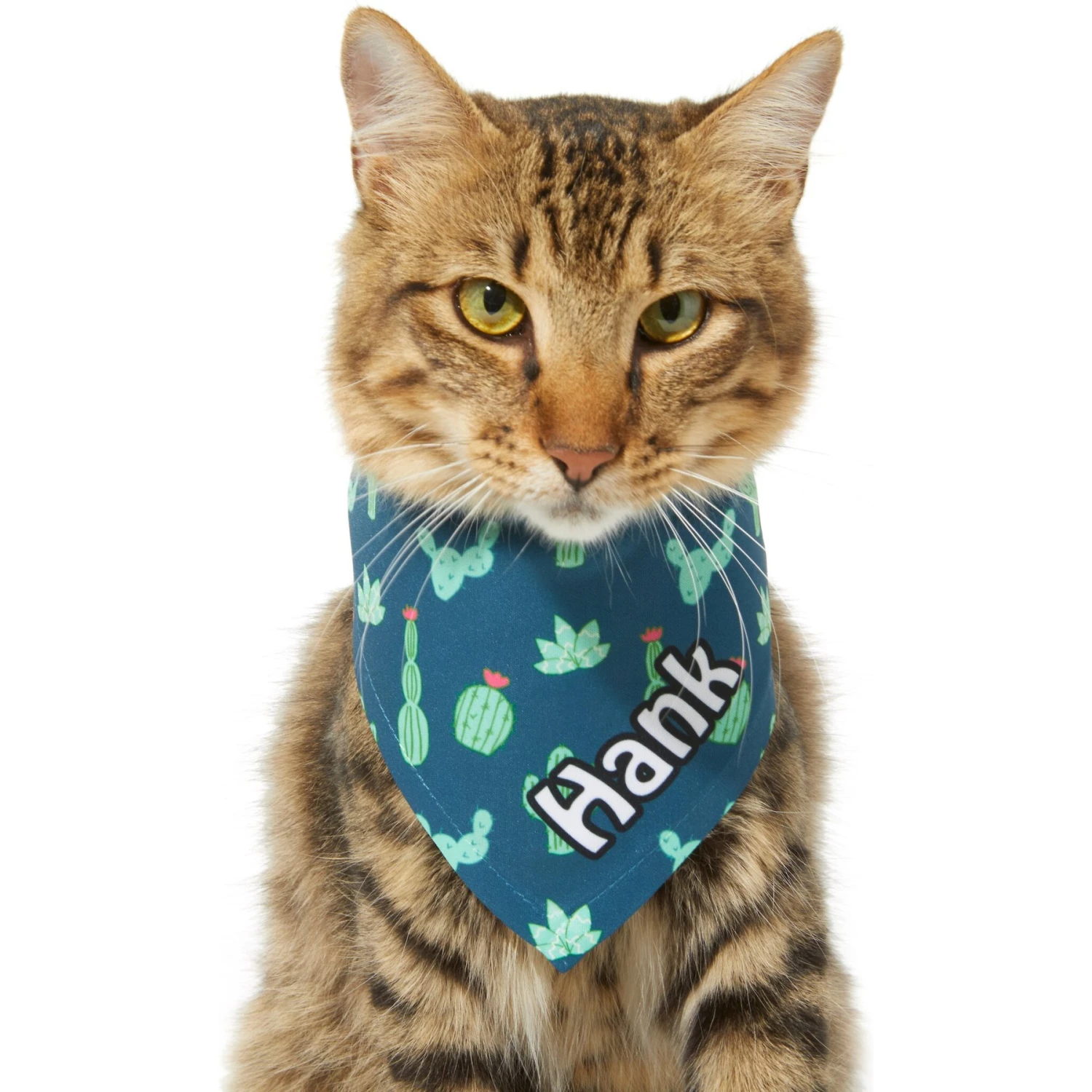 Frisco Cactus Personalized Dog & Cat Bandana Frisco Cactus Personalized Dog & Cat Bandana -Frisco Pet Hub 267551 PT8. AC SS1800 V1623164657