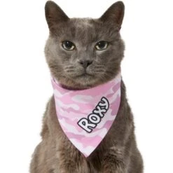 Frisco Pink Camo Personalized Dog & Cat Bandana -Frisco Pet Hub 267567 PT8. AC SS1800 V1623164559