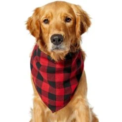 Red Buffalo Plaid Dog & Cat Bandana -Frisco Pet Hub 267899 PT2. AC SS1800 V1637649415