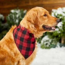 Red Buffalo Plaid Dog & Cat Bandana -Frisco Pet Hub 267899 PT5. AC SS1800 V1637666506