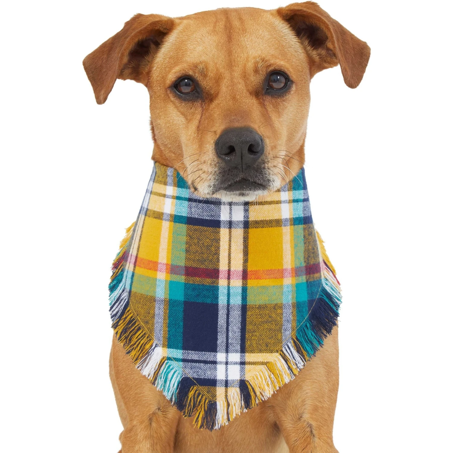 Frisco Blue/Yellow Plaid Dog & Cat Flannel Bandana Frisco Blue/Yellow Plaid Dog & Cat Flannel Bandana -Frisco Pet Hub 267901 PT2. AC SS1800 V1637717796