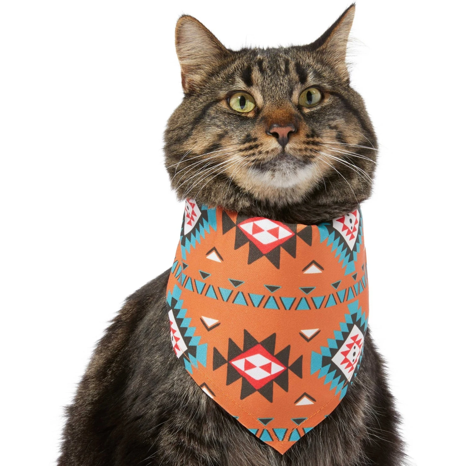 Frisco Southwest Dog & Cat Bandana Frisco Southwest Dog & Cat Bandana -Frisco Pet Hub 267904 PT3. AC SS1800 V1637720839