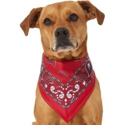 Frisco Red Paisley Dog & Cat Bandana 2 Frisco Red Paisley Dog & Cat Bandana -Frisco Pet Hub 267919 PT2. AC SS1800 V1637669854