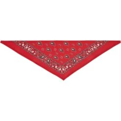 Frisco Red Paisley Dog & Cat Bandana 4 Frisco Red Paisley Dog & Cat Bandana -Frisco Pet Hub 267919 PT4. AC SS1800 V1637674037