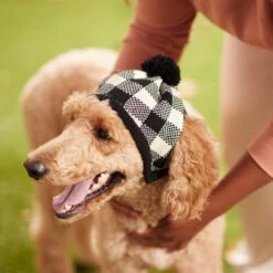Frisco Plaid Dog & Cat Knitted Hat -Frisco Pet Hub 267925 PT8. AC SS1800 V1629755603