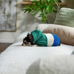 Frisco Colorblock Dog & Cat Hoodie With Sleeves -Frisco Pet Hub 267968 PT6. AC SS1800 V1637715446