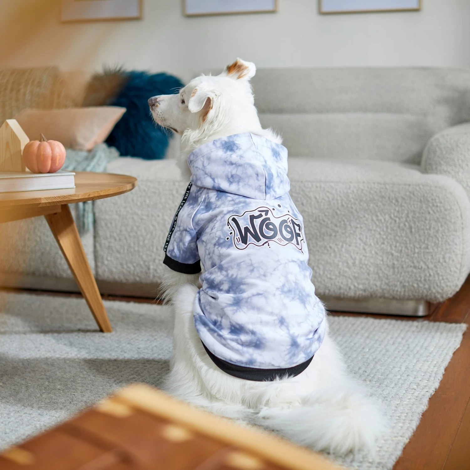 Frisco Woof Tiedye Print Dog & Cat Hoodie Frisco Woof Tiedye Print Dog & Cat Hoodie -Frisco Pet Hub 267986 PT8. AC SS1800 V1629758062
