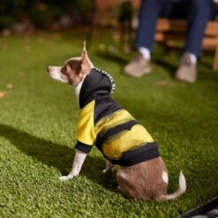 Frisco Rebel Dog & Cat Hoodie -Frisco Pet Hub 267994 PT6. AC SS1800 V1637730463