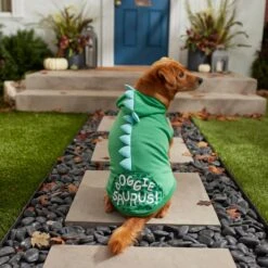 Frisco Doggiesaurus Dog & Cat Hoodie, Green -Frisco Pet Hub 268033 PT8. AC SS1800 V1629763006