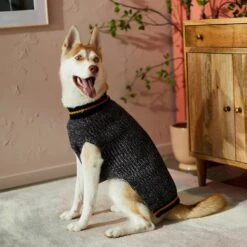 Frisco Heathered Knit Dog & Cat Sweater With 60% Recycled Content -Frisco Pet Hub 268159 PT8. AC SS1800 V1629758773
