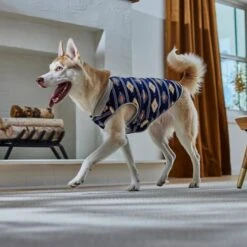 Frisco Lightweight Southwest Dog & Cat Polar Fleece Vest 6 Frisco Lightweight Southwest Dog & Cat Polar Fleece Vest -Frisco Pet Hub 268167 PT8. AC SS1800 V1629756292