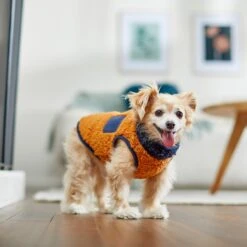 Frisco Lightweight Colorblock Dog & Cat Zippered Sherpa Fleece Vest, Blue/Brown -Frisco Pet Hub 268191 PT8. AC SS1800 V1629759209