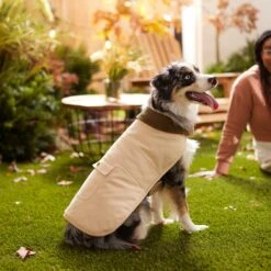 Frisco Mediumweight Cotton Duck Canvas Dog & Cat Jacket, Tan -Frisco Pet Hub 268223 PT8. AC SS1800 V1629767022