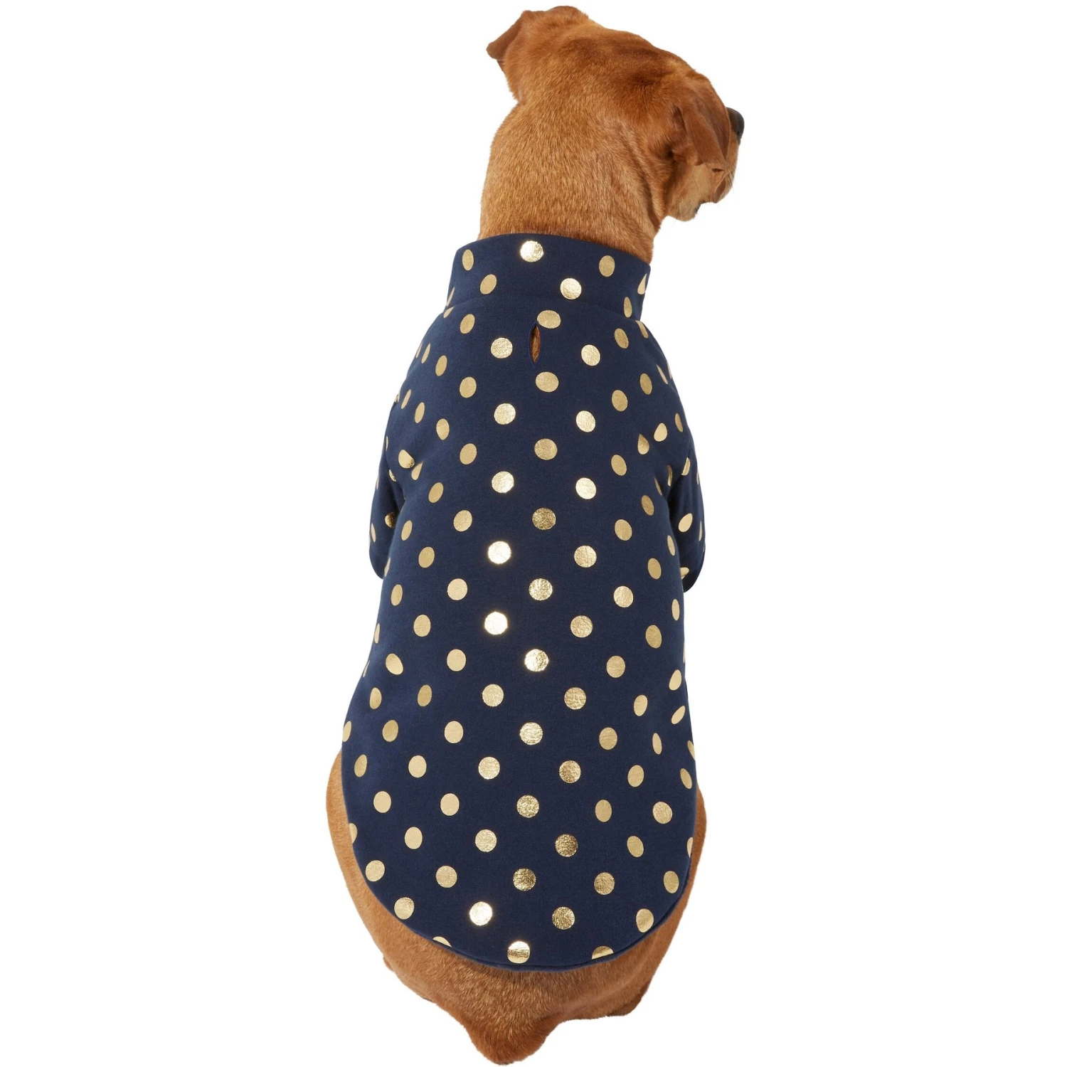 Frisco Lightweight Gold Dotted Dog & Cat Jacket, Navy Frisco Lightweight Gold Dotted Dog & Cat Jacket, Navy -Frisco Pet Hub 268247 MAIN. AC SS1800 V1628794279