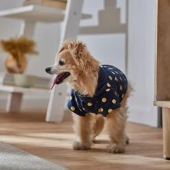 Frisco Lightweight Gold Dotted Dog & Cat Jacket, Navy 6 Frisco Lightweight Gold Dotted Dog & Cat Jacket, Navy -Frisco Pet Hub 268247 PT8. AC SS1800 V1629758988