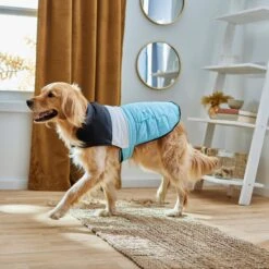 Frisco Mediumweight Colorblock Insulated Dog & Cat Puffer Coat With Pocket, Blue -Frisco Pet Hub 268311 PT8. AC SS1800 V1629766581