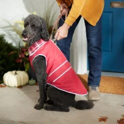 Frisco Mediumweight Reflective Water-Resistant Insulated Dog & Cat Coat -Frisco Pet Hub 268342 PT8. AC SS1800 V1629764397