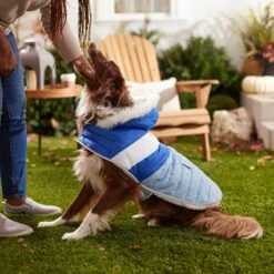 Frisco Heavyweight Chevron Insulated Dog & Cat Parka With Pocket -Frisco Pet Hub 268405 PT8. AC SS1800 V1629766395