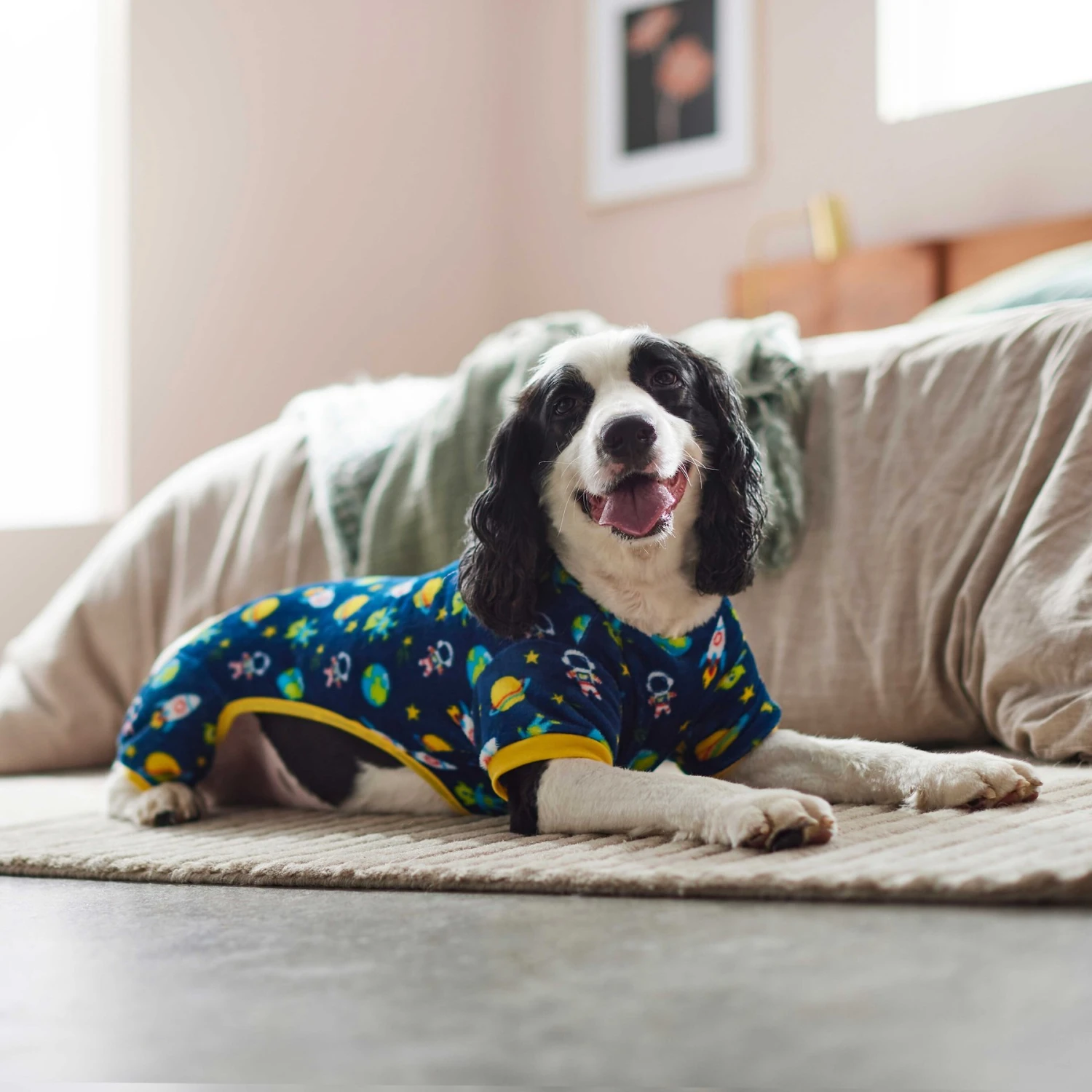 Frisco Dog & Cat Cozy Plush Fleece PJs, Outer Space Frisco Dog & Cat Cozy Plush Fleece PJs, Outer Space -Frisco Pet Hub 268477 PT5. AC SS1800 V1637682422