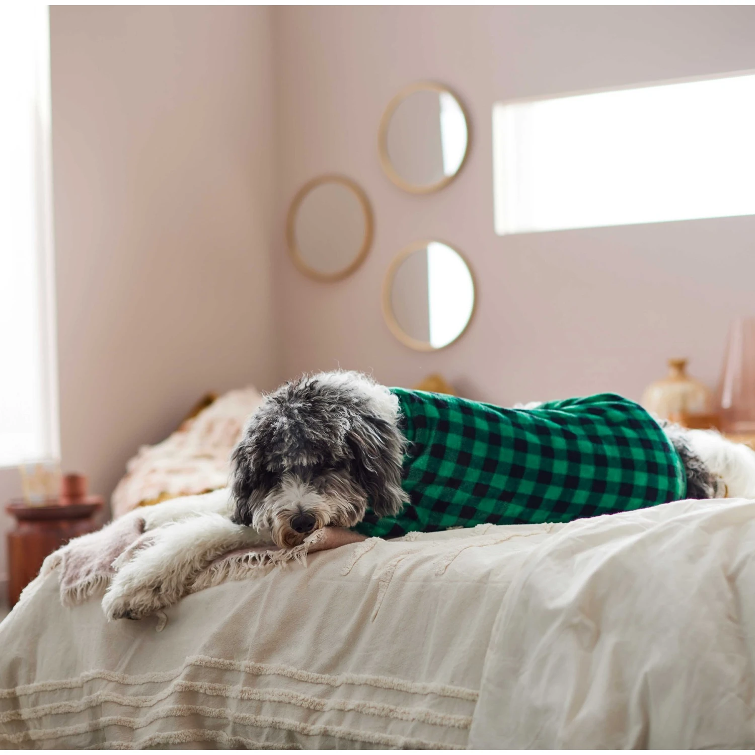 Frisco Dog & Cat Cozy Plush Fleece PJs, Green Plaid Frisco Dog & Cat Cozy Plush Fleece PJs, Green Plaid -Frisco Pet Hub 268517 PT5. AC SS1800 V1637644798