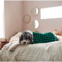 Frisco Dog & Cat Cozy Plush Fleece PJs, Green Plaid 6 Frisco Dog & Cat Cozy Plush Fleece PJs, Green Plaid -Frisco Pet Hub 268517 PT8. AC SS1800 V1629755447