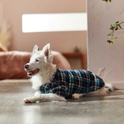 Frisco Multi-Plaid Dog & Cat Flannel Shirt -Frisco Pet Hub 268588 PT7. AC SS1800 V1637674022