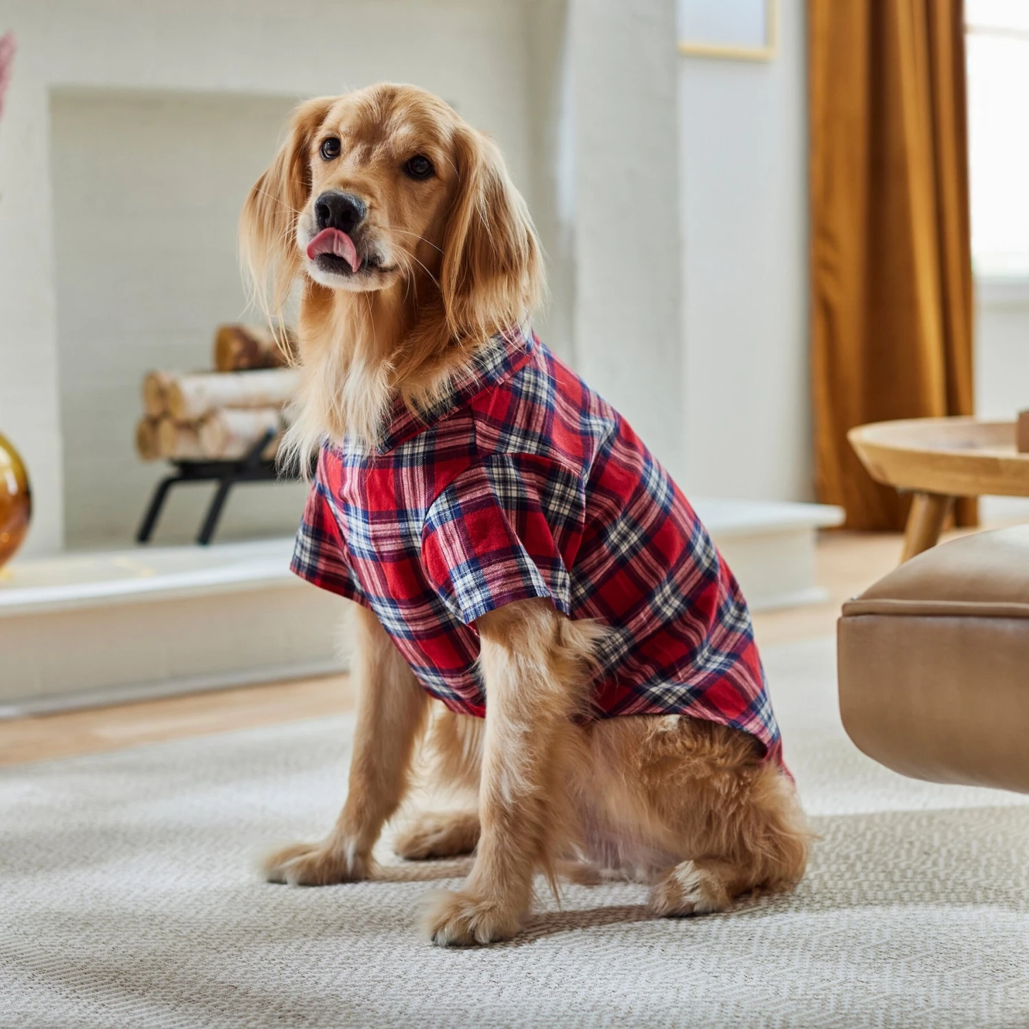 Frisco Red Plaid Dog & Cat Shirt Frisco Red Plaid Dog & Cat Shirt -Frisco Pet Hub 268604 PT8. AC SS1800 V1629757681