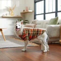 Frisco Orange & Olive Plaid Dog & Cat Flannel Shirt -Frisco Pet Hub 268612 PT8. AC SS1800 V1629759992