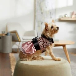 Frisco Pink Cheetah Dog & Cat Dress -Frisco Pet Hub 268661 PT6. AC SS1800 V1637672527