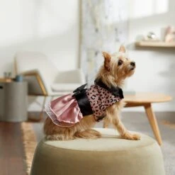 Frisco Pink Cheetah Dog & Cat Dress -Frisco Pet Hub 268661 PT8. AC SS1800 V1629760489