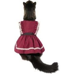 Frisco Plum Dog & Cat Dress -Frisco Pet Hub 268677 PT3. AC SS1800 V1637679087