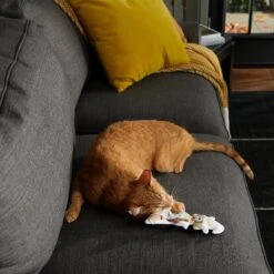 Frisco Halloween Good Witch, Bad Witch Reversible Plush Cat Toy With Catnip -Frisco Pet Hub 270301 PT3. AC SS1800 V1624824841