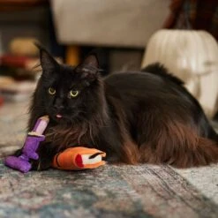 Frisco Halloween Enchanted Book & Candle Plush Cat Toy With Catnip, 2 Count -Frisco Pet Hub 270321 PT3. AC SS1800 V1689878926