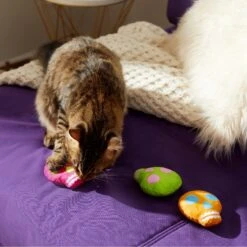 Frisco Colorful Skulls Plush Cat Toy With Catnip, 3 Count -Frisco Pet Hub 270325 PT3. AC SS1800 V1630350992