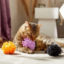 Frisco Halloween Moppy Ball Cat Toy With Catnip -Frisco Pet Hub 270337 PT3. AC SS1800 V1624817812