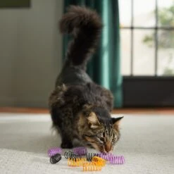 Frisco Halloween Plastic Springs Cat Toy -Frisco Pet Hub 270339 PT3. AC SS1800 V1624817747