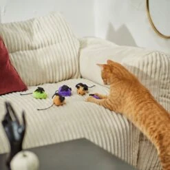 Frisco Halloween Bat Mice Plush Cat Toy With Catnip -Frisco Pet Hub 270353 PT3. AC SS1800 V1624817260