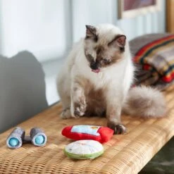 Frisco Camping Compass & Lantern Plush Cat Toy With Catnip, 2 Count -Frisco Pet Hub 270985 PT3. AC SS1800 V1625009053