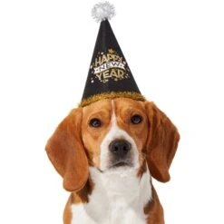 Frisco Happy New Year Dog & Cat Hat -Frisco Pet Hub 276190 PT2. AC SS1800 V1631303599