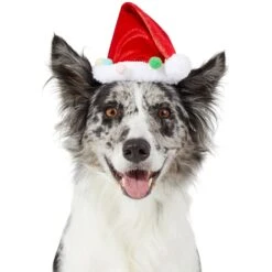 Frisco Holiday Poms Dog & Cat Santa Hat -Frisco Pet Hub 276194 PT2. AC SS1800 V1631303507