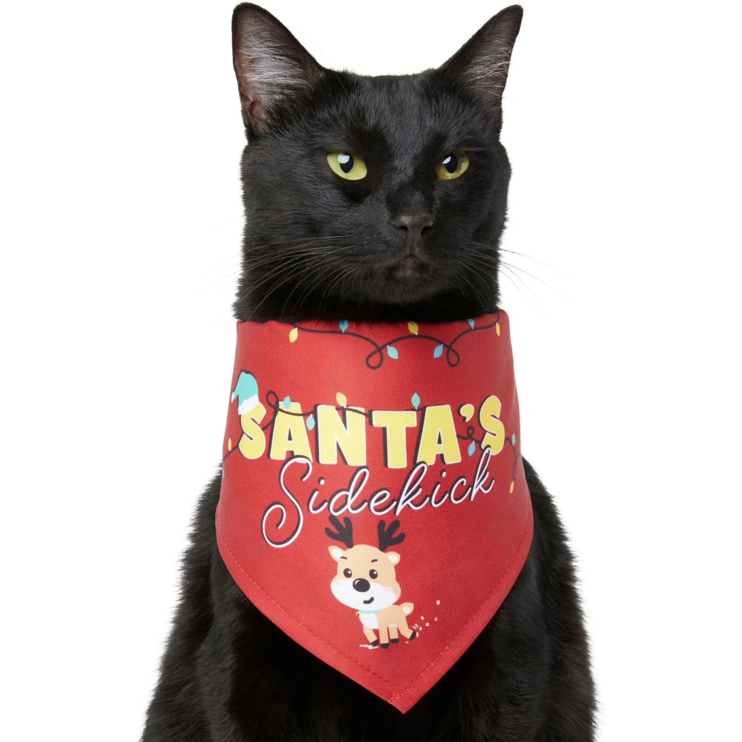Frisco Santa's Sidekick Dog & Cat Bandana Frisco Santa's Sidekick Dog & Cat Bandana -Frisco Pet Hub 276204 MAIN. AC SS1800 V1637656607