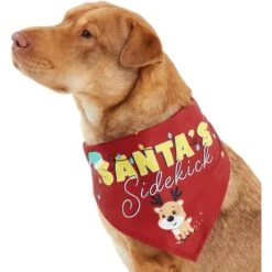 Frisco Santa's Sidekick Dog & Cat Bandana 2 Frisco Santa's Sidekick Dog & Cat Bandana -Frisco Pet Hub 276204 PT2. AC SS1800 V1637653065